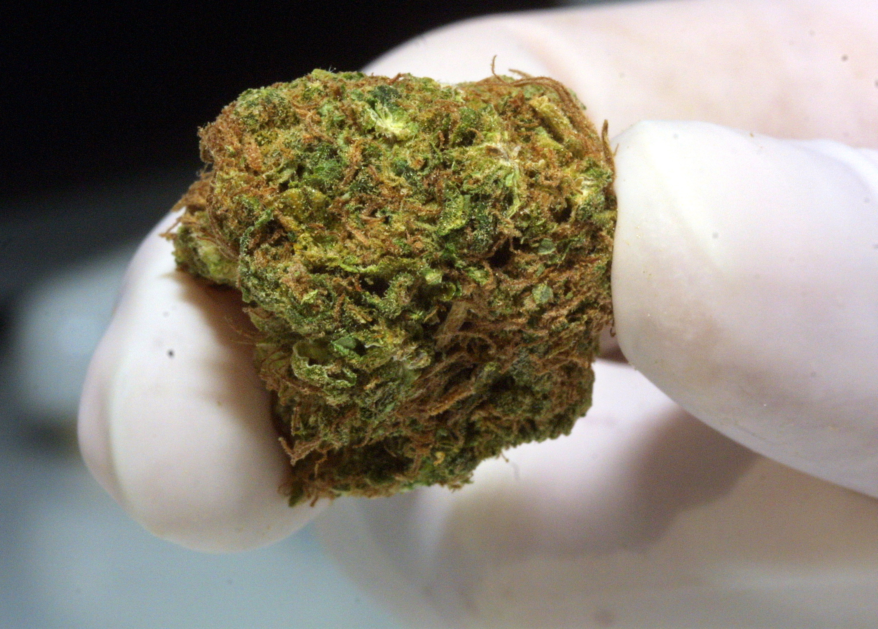 How long does weed stay in your syatem 7 How long does weed stay in your system?